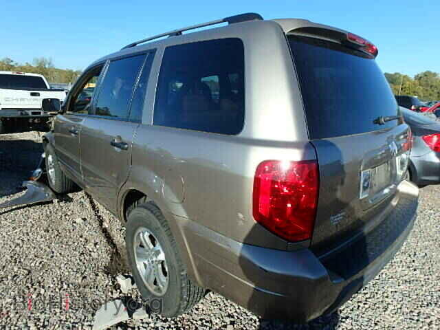 2005 HONDA PILOT - VIN: 5FNYF18625B063268 - Фото 3