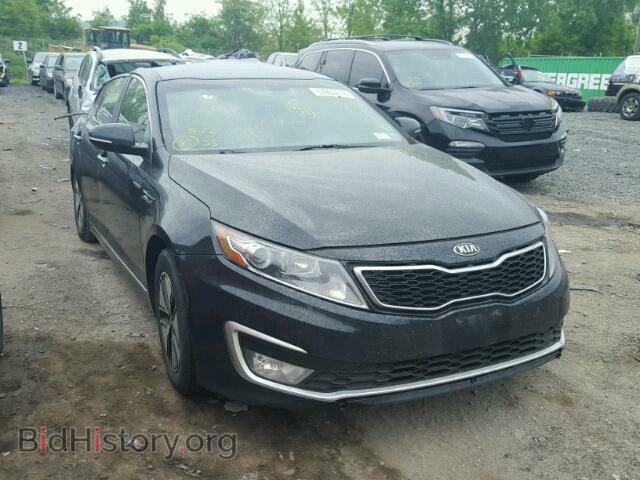 Фотография KNAGM4AD6D5041816 - KIA OPTIMA 2013