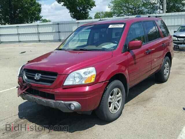 2005 HONDA PILOT - VIN: 5FNYF18575B044657 - Фото 2