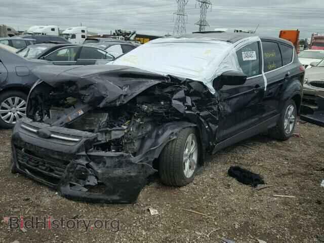 2013 FORD ESCAPE - VIN: 1FMCU0GX0DUD65549 - Photo 2