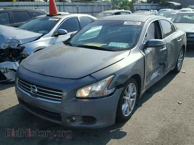2009 NISSAN MAXIMA - VIN: 1N4AA51E69C816169 - Фото 2