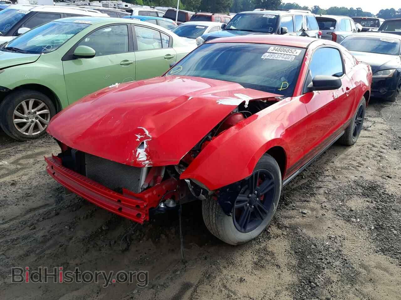 2012 FORD MUSTANG - VIN: 1ZVBP8AM1C5262859 - Фото 2