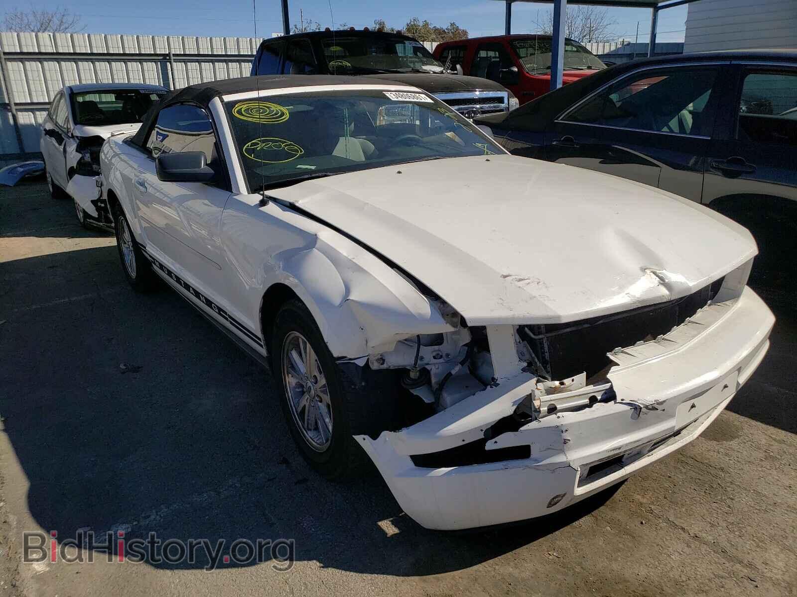 Фотография 1ZVFT84N275272890 - FORD MUSTANG 2007