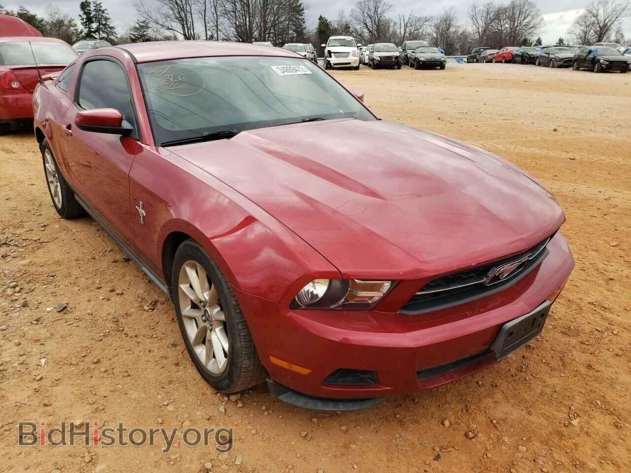 Фотография 1ZVBP8AN2A5153851 - FORD MUSTANG 2010