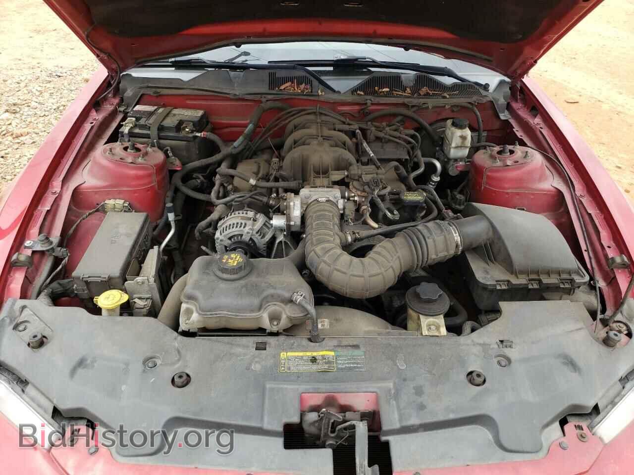2010 FORD MUSTANG - VIN: 1ZVBP8AN2A5153851 - Фото 7