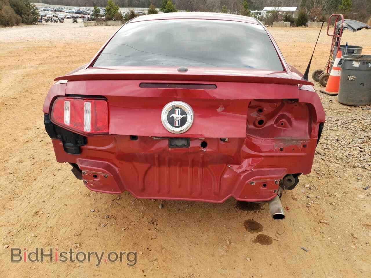 2010 FORD MUSTANG - VIN: 1ZVBP8AN2A5153851 - Фото 9