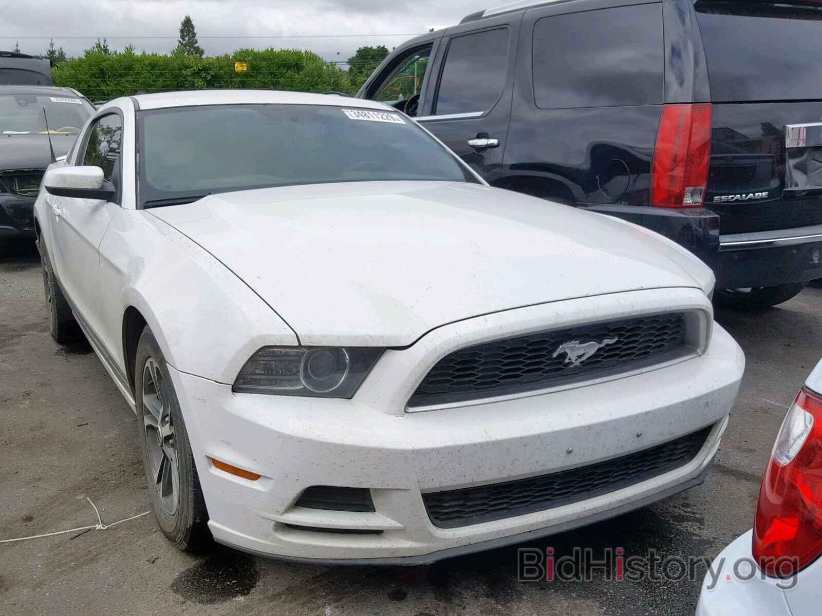 Фотография 1ZVBP8AM1E5202048 - FORD MUSTANG 2014