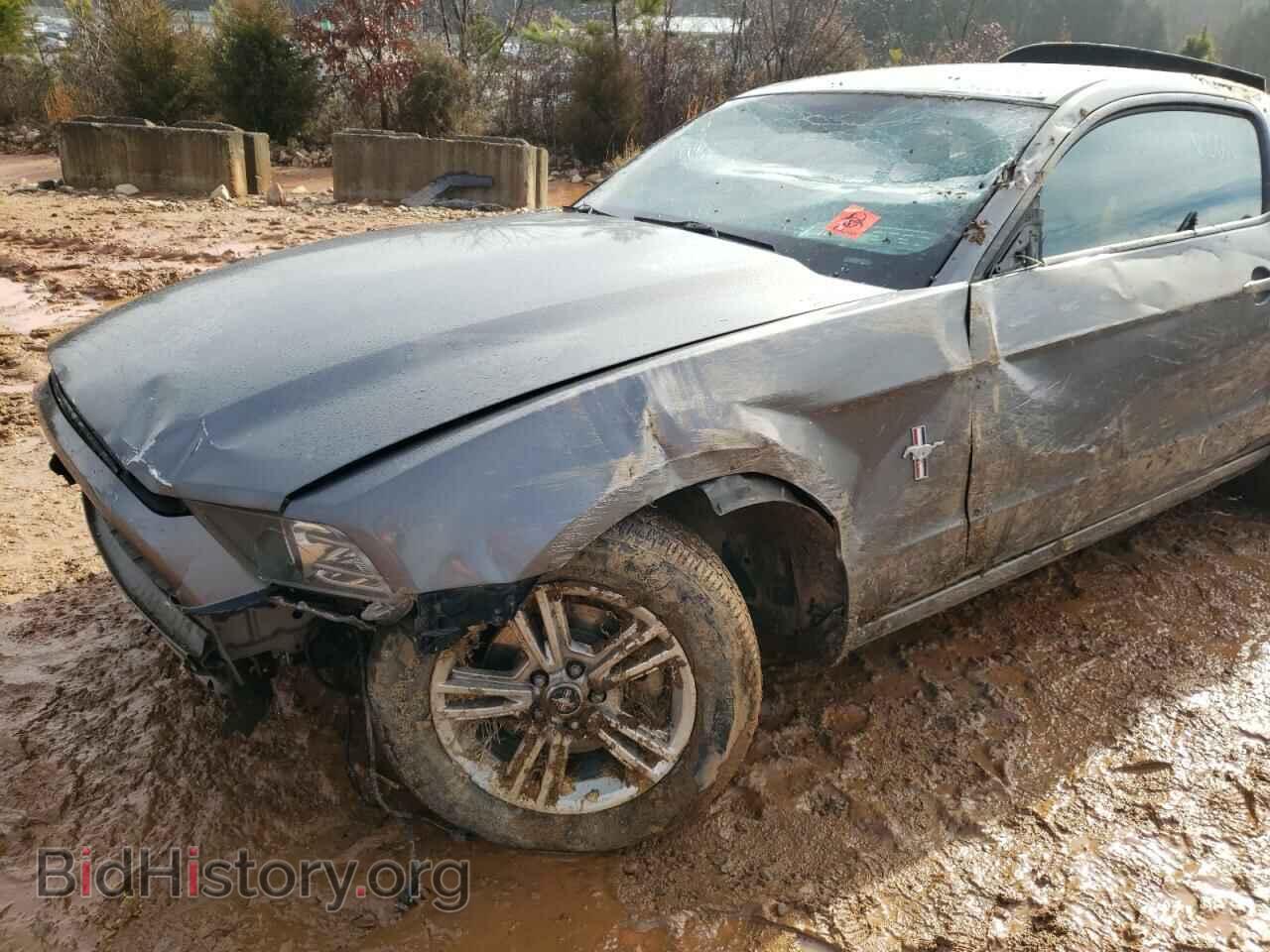 2014 FORD MUSTANG - VIN: 1ZVBP8AM4E5300006 - Фото 9