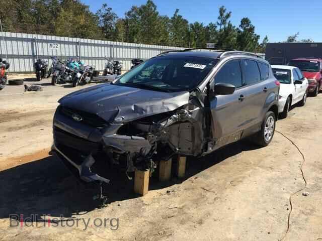 2013 FORD ESCAPE - VIN: 1FMCU0F73DUA74416 - Photo 2