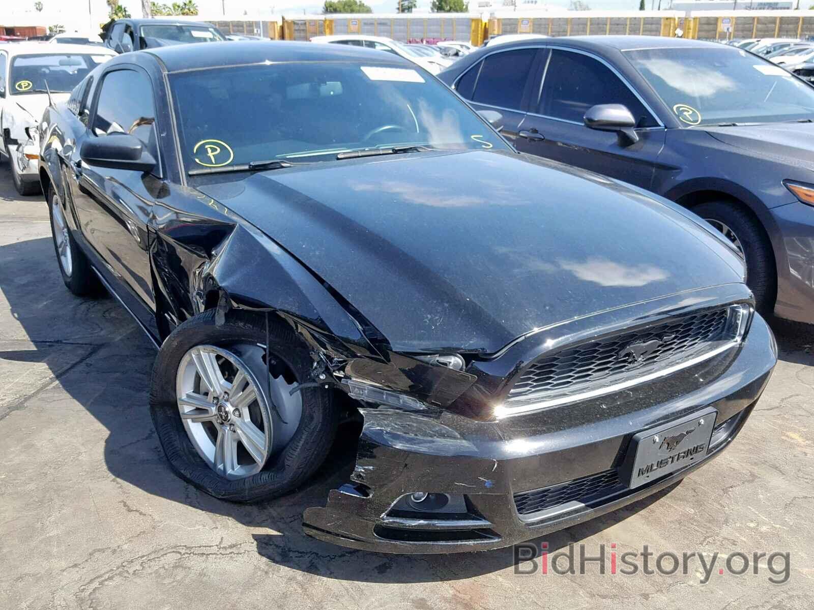 Photo 1ZVBP8AM1D5282501 - FORD MUSTANG 2013