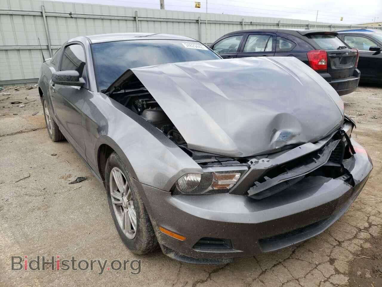 Фотография 1ZVBP8AM2C5281100 - FORD MUSTANG 2012