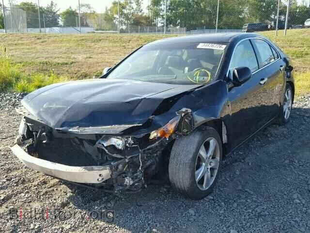 2011 ACURA TSX - VIN: JH4CU2F60BC005272 - Фото 2