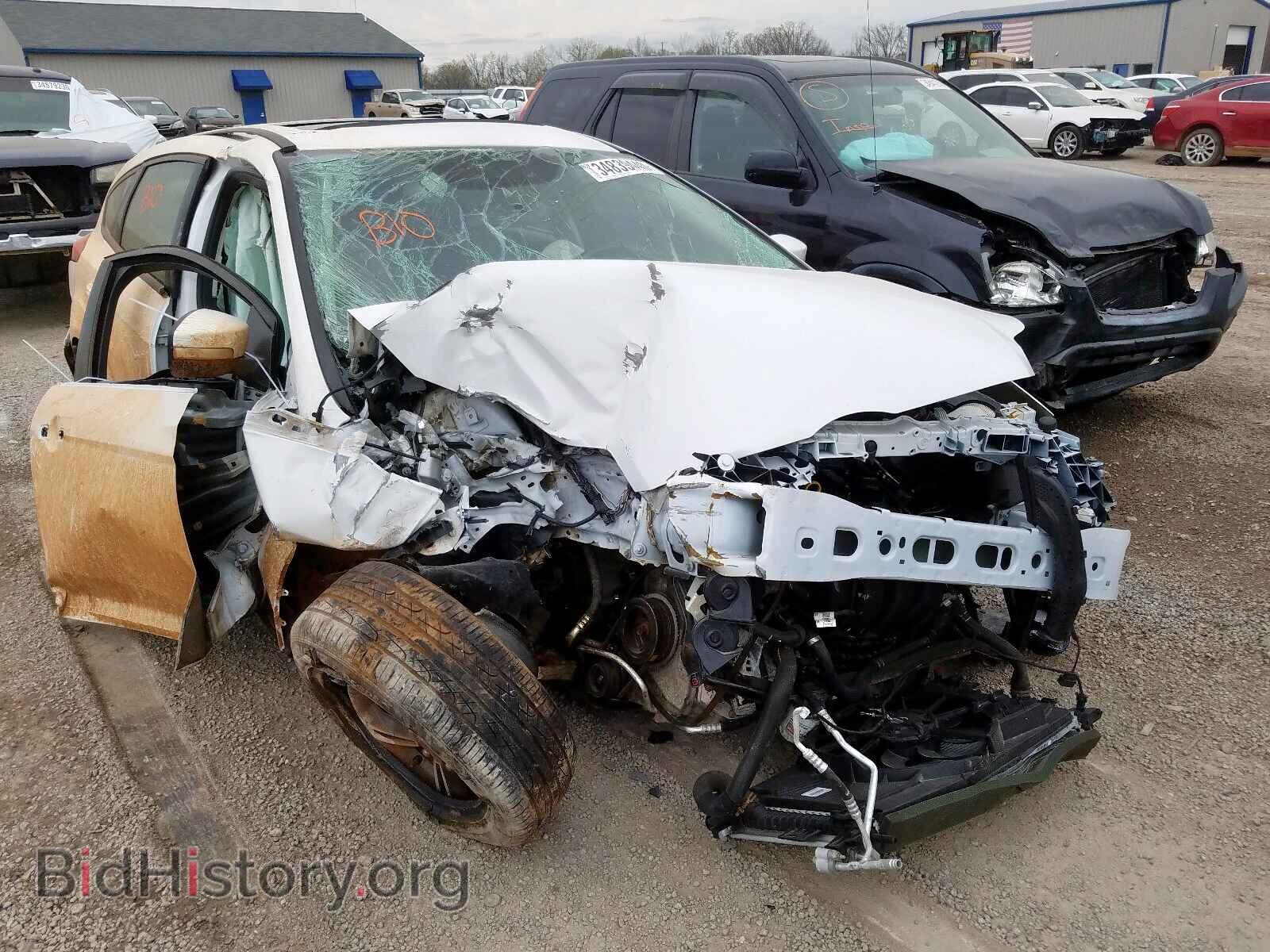 Photo 1FADP3K25EL269846 - FORD FOCUS 2014
