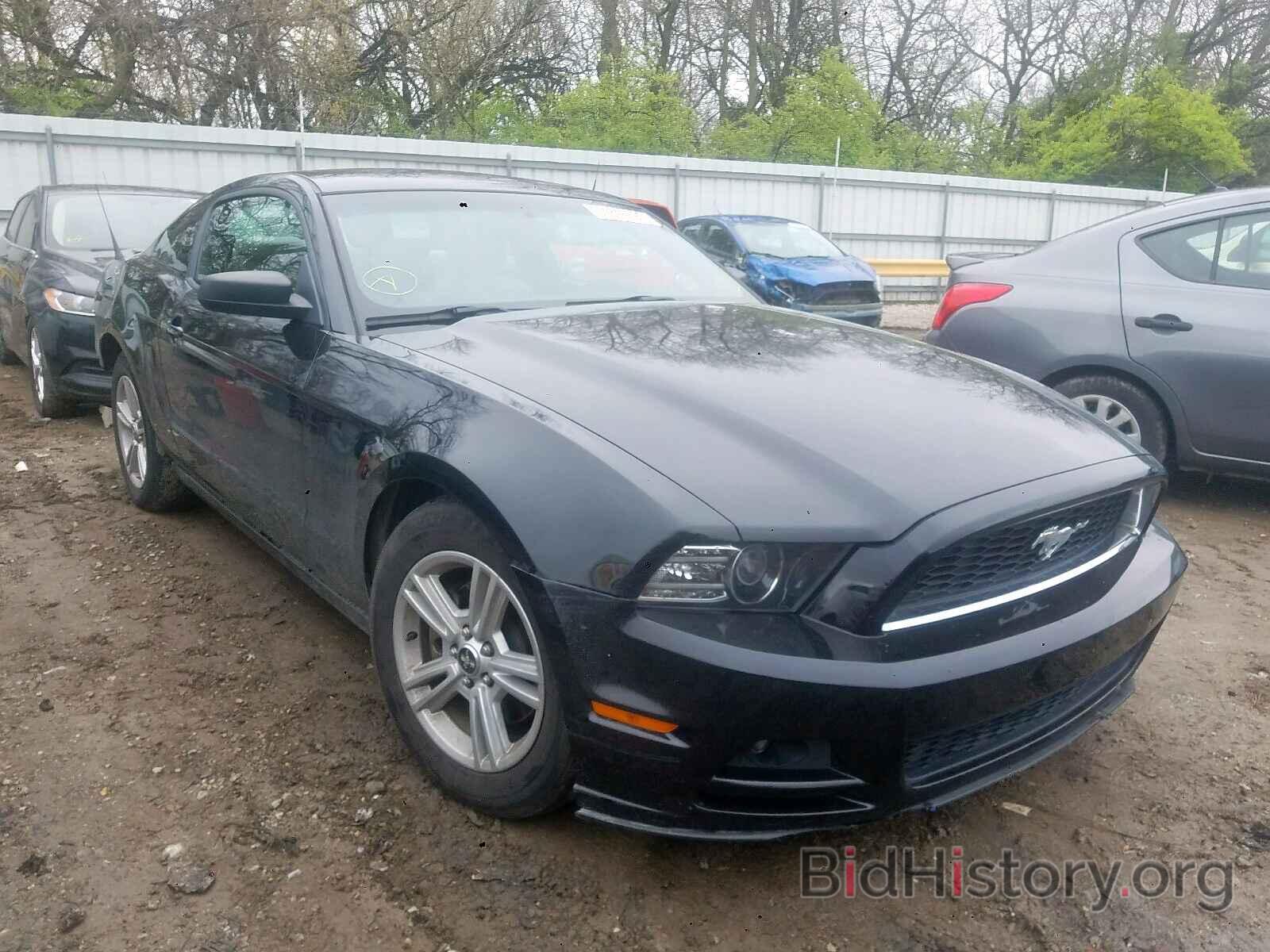 Photo 1ZVBP8AM4E5257934 - FORD MUSTANG 2014