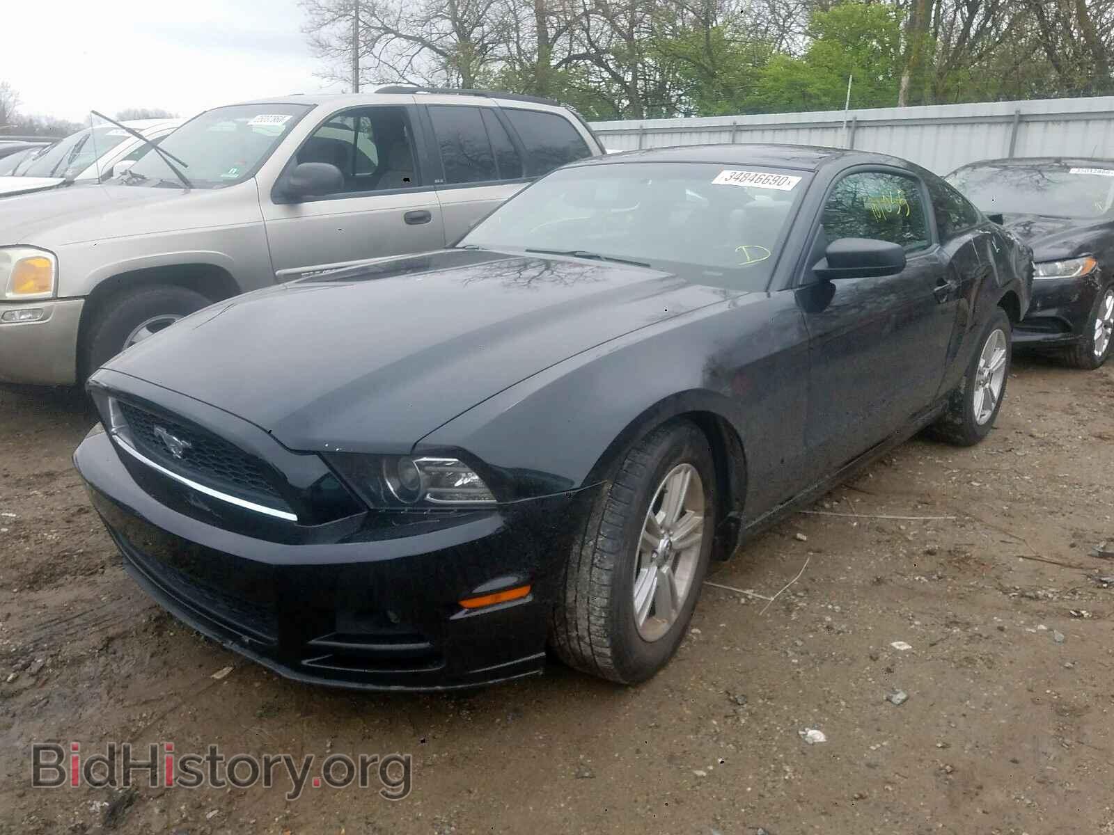 2014 FORD MUSTANG - VIN: 1ZVBP8AM4E5257934 - Фото 2