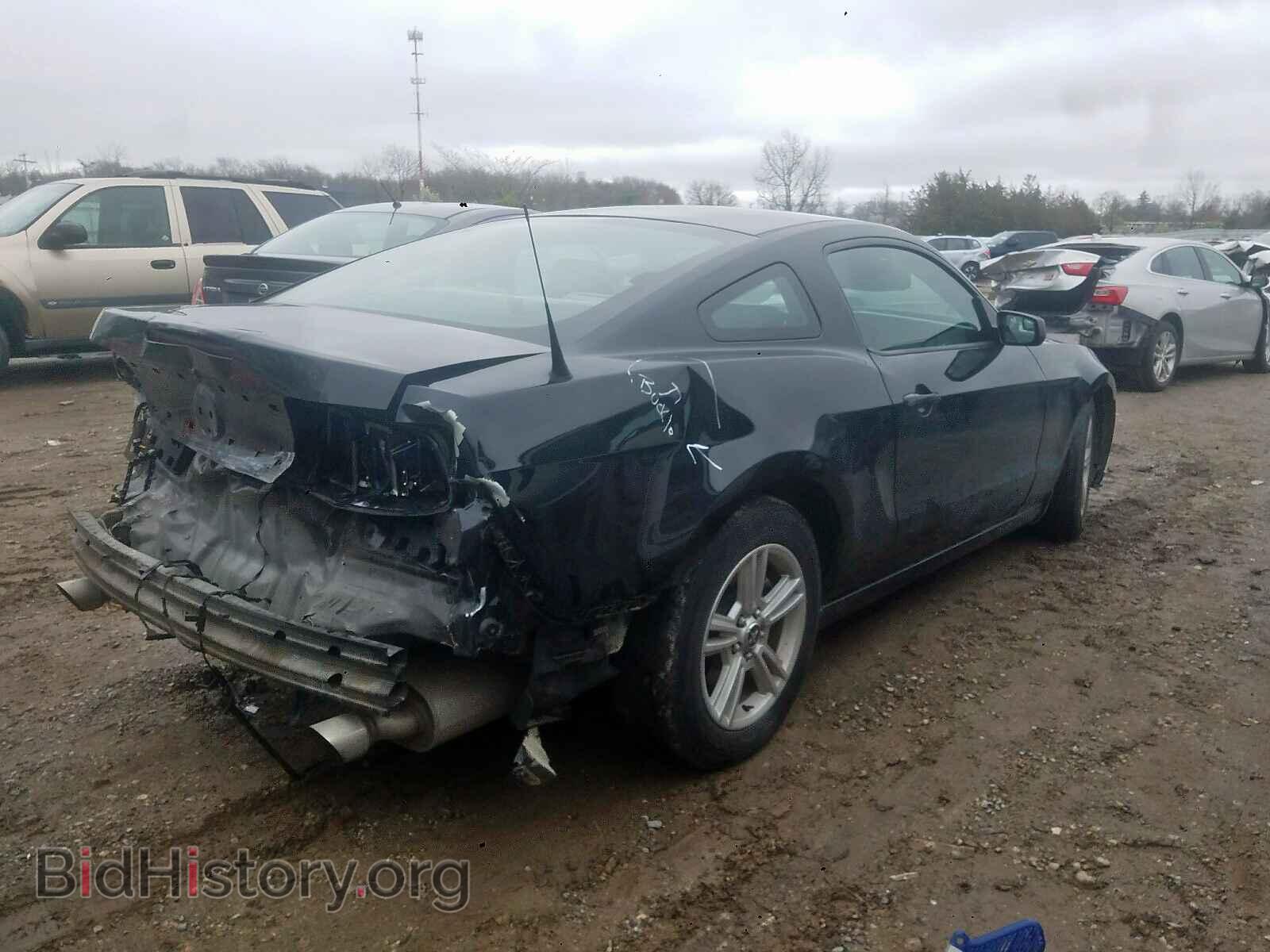 2014 FORD MUSTANG - VIN: 1ZVBP8AM4E5257934 - Фото 4
