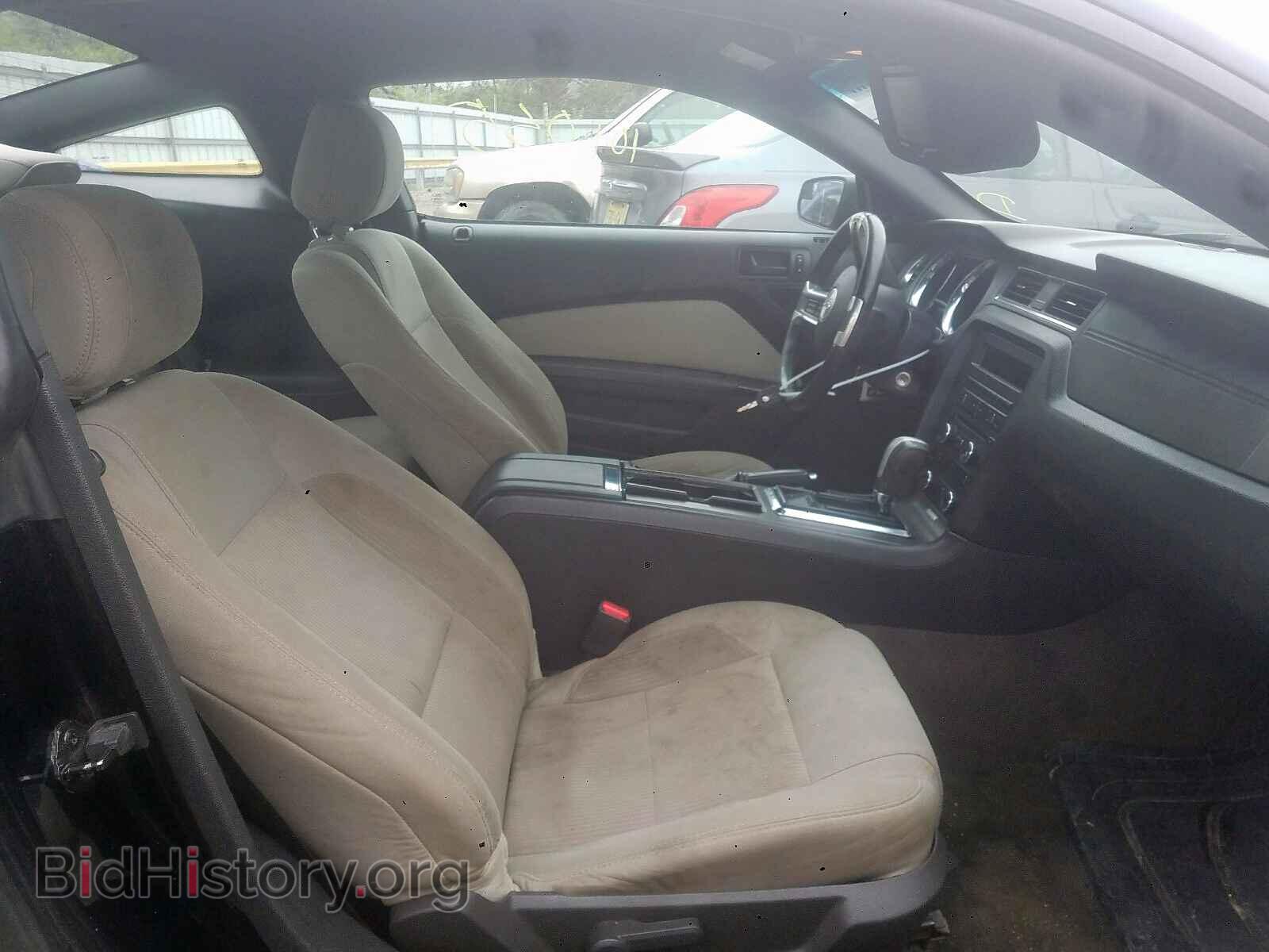 2014 FORD MUSTANG - VIN: 1ZVBP8AM4E5257934 - Фото 5