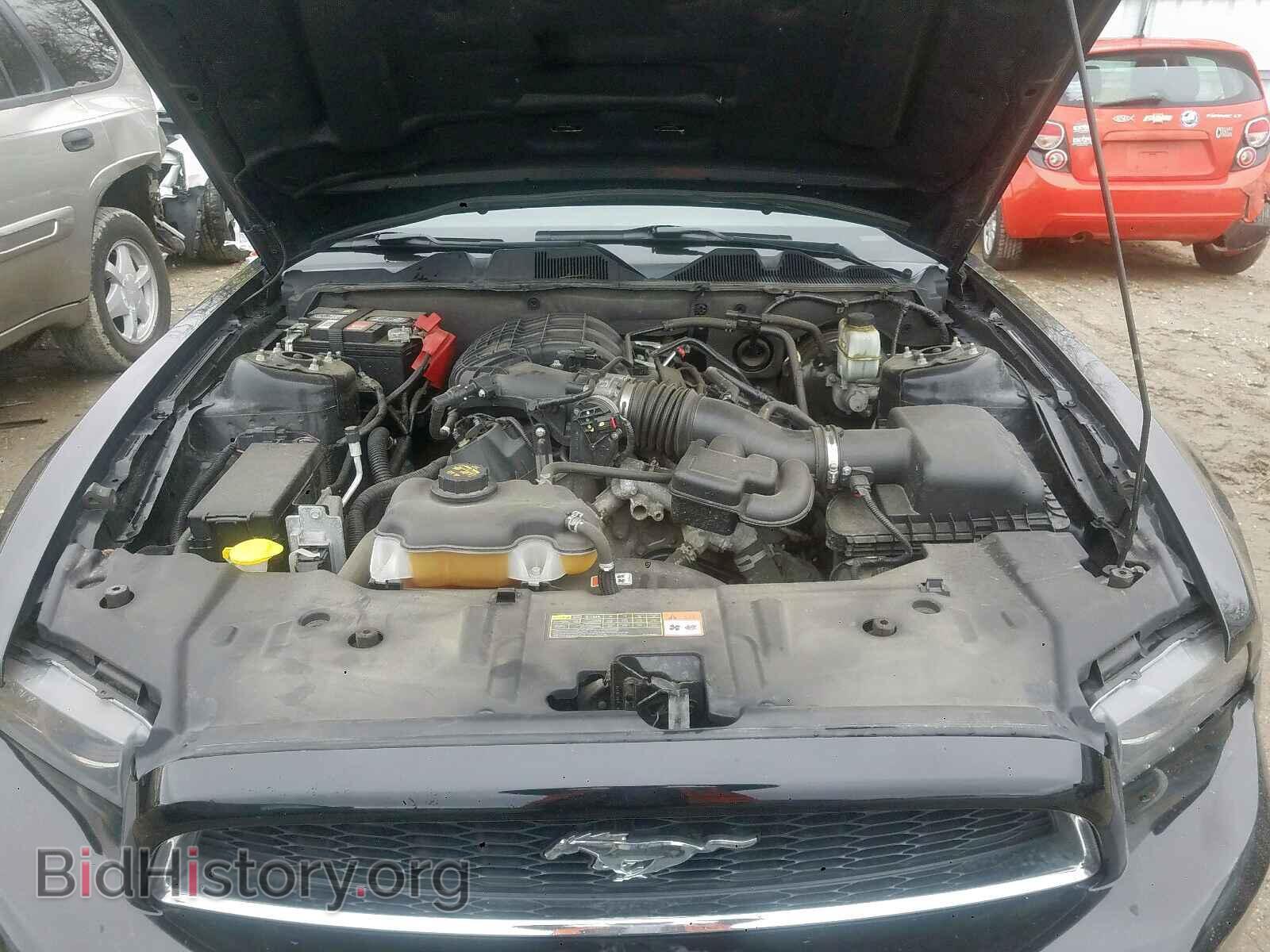 2014 FORD MUSTANG - VIN: 1ZVBP8AM4E5257934 - Фото 7