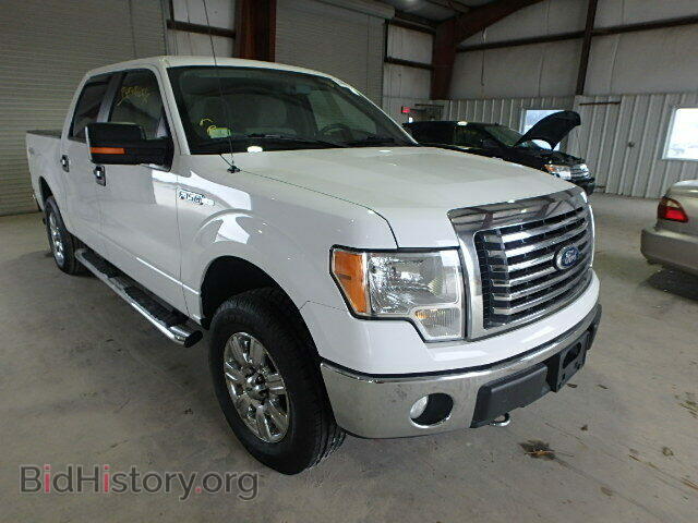 Фотография 1FTEW1E85AFD59593 - FORD F150 2010