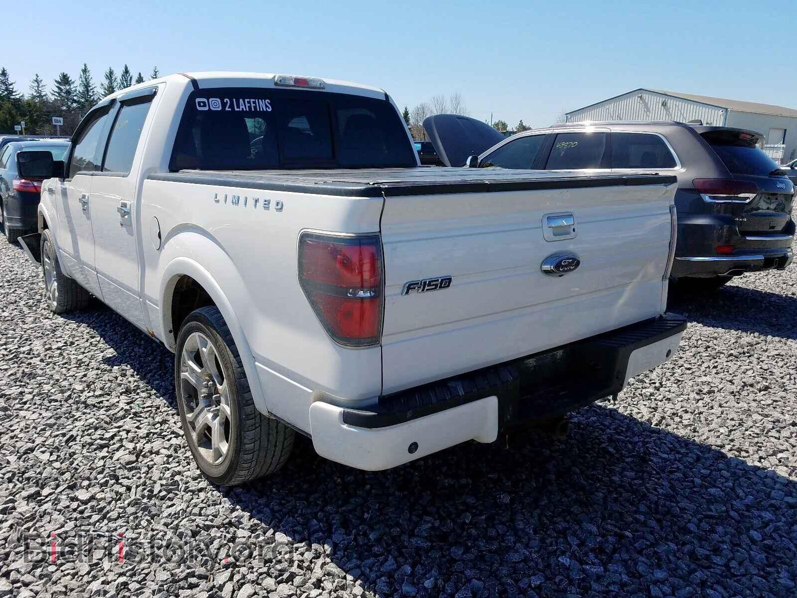 2011 FORD F150 - VIN: 1FTFW1E60BFA15772 - Фото 3