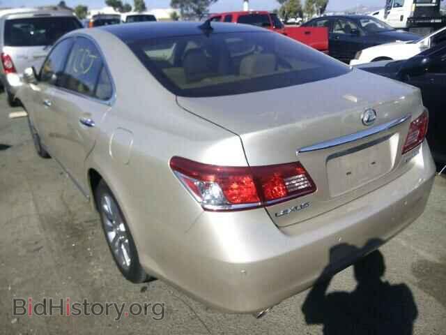 2010 LEXUS ES350 - VIN: JTHBK1EG5A2368564 - Фото 3