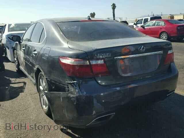2009 LEXUS LS460 - VIN: JTHBL46F195086484 - Фото 3