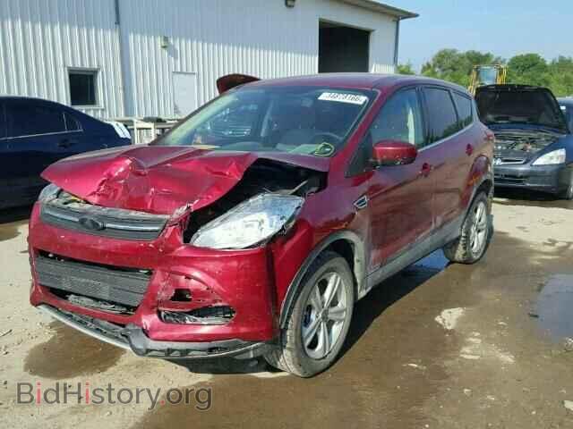2014 FORD ESCAPE - VIN: 1FMCU9GX2EUE12442 - Photo 2