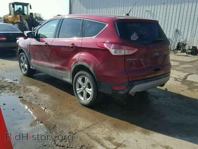 2014 FORD ESCAPE - VIN: 1FMCU9GX2EUE12442 - Photo 3