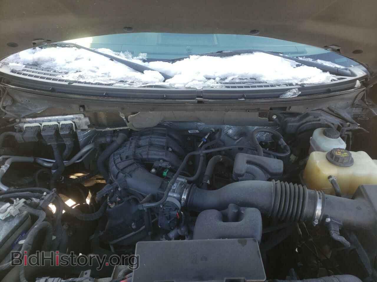 2013 FORD F150 - VIN: 1FTMF1EM2DKD78963 - Фото 7