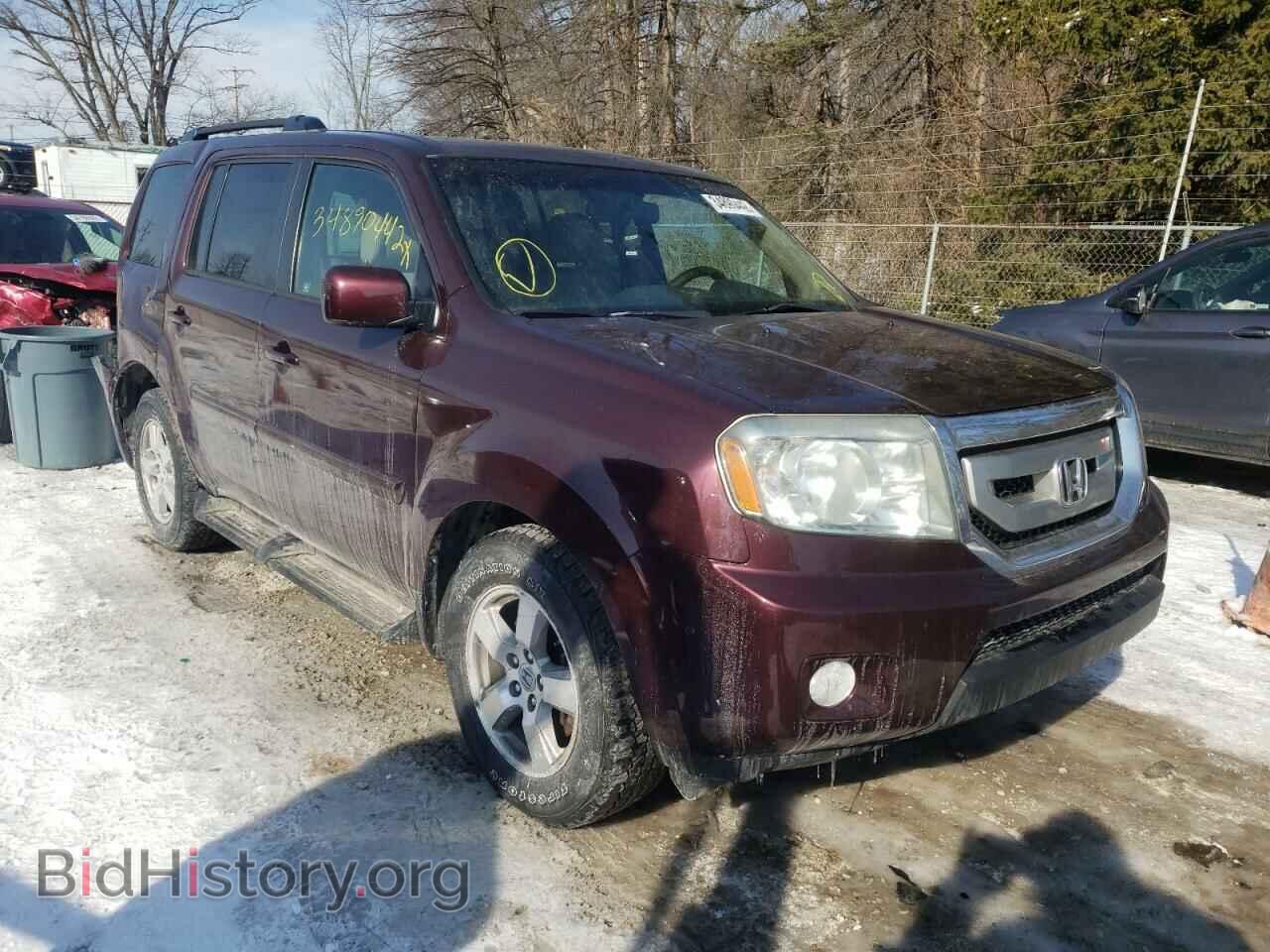 Фотография 5FNYF4H64BB087388 - HONDA PILOT 2011