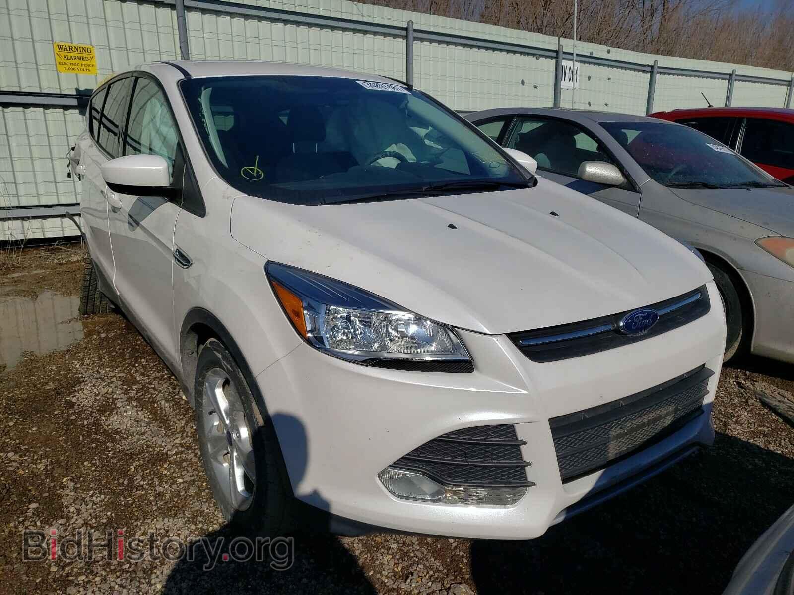 Фотография 1FMCU0GX4EUD86499 - FORD ESCAPE 2014