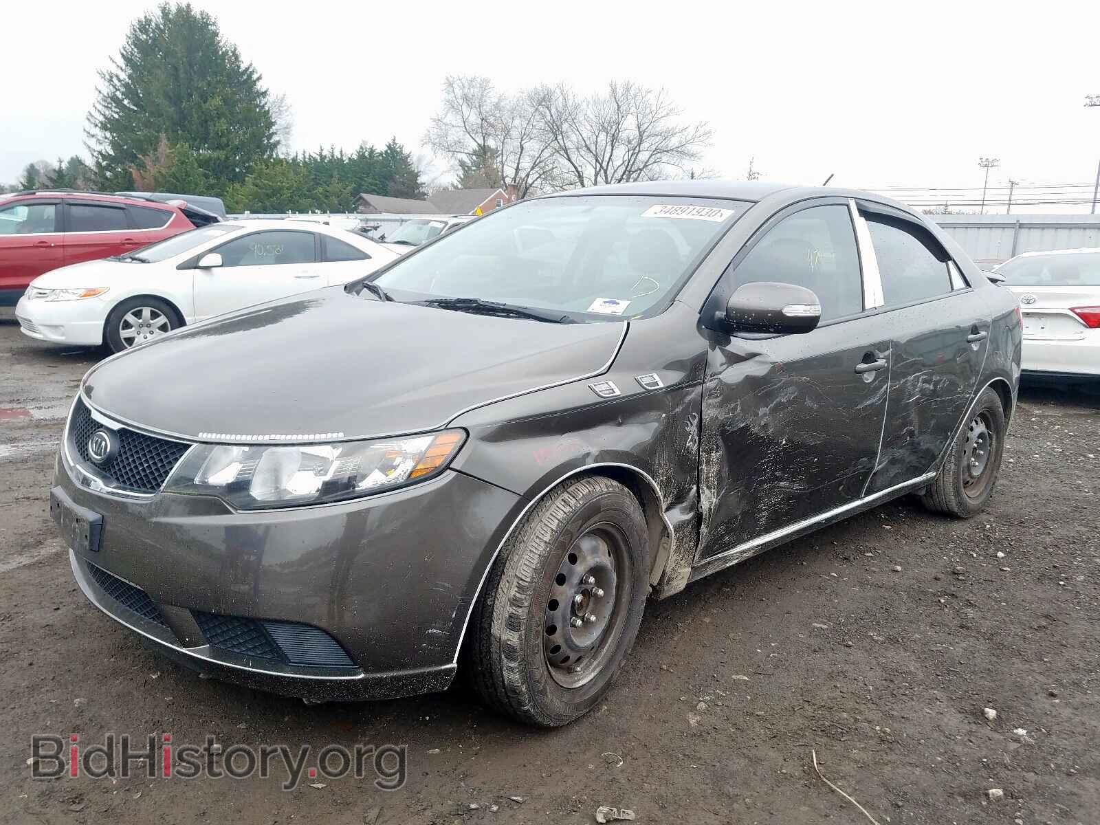 2010 KIA FORTE - VIN: KNAFU4A29A5245628 - Фото 2