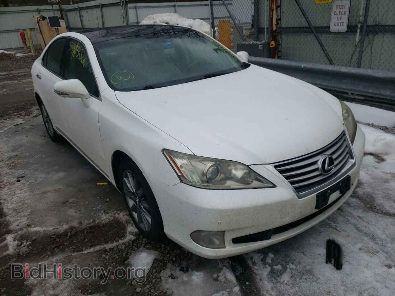 Photo JTHBK1EGXA2345264 - LEXUS ES330 2010