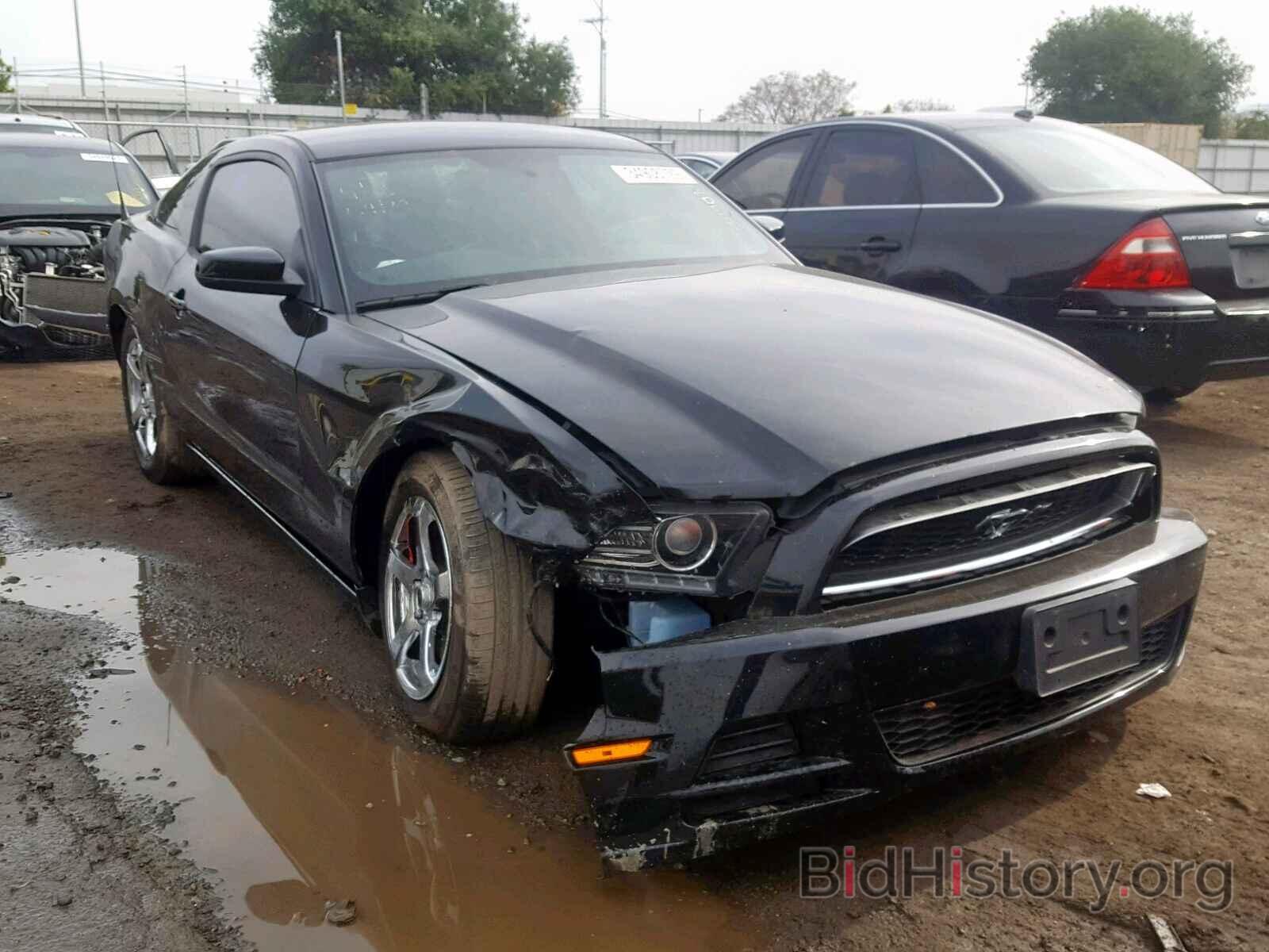 Photo 1ZVBP8AM6E5219671 - FORD MUSTANG 2014
