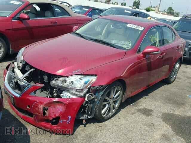 2009 LEXUS IS250 - VIN: JTHBK262195105815 - Фото 2