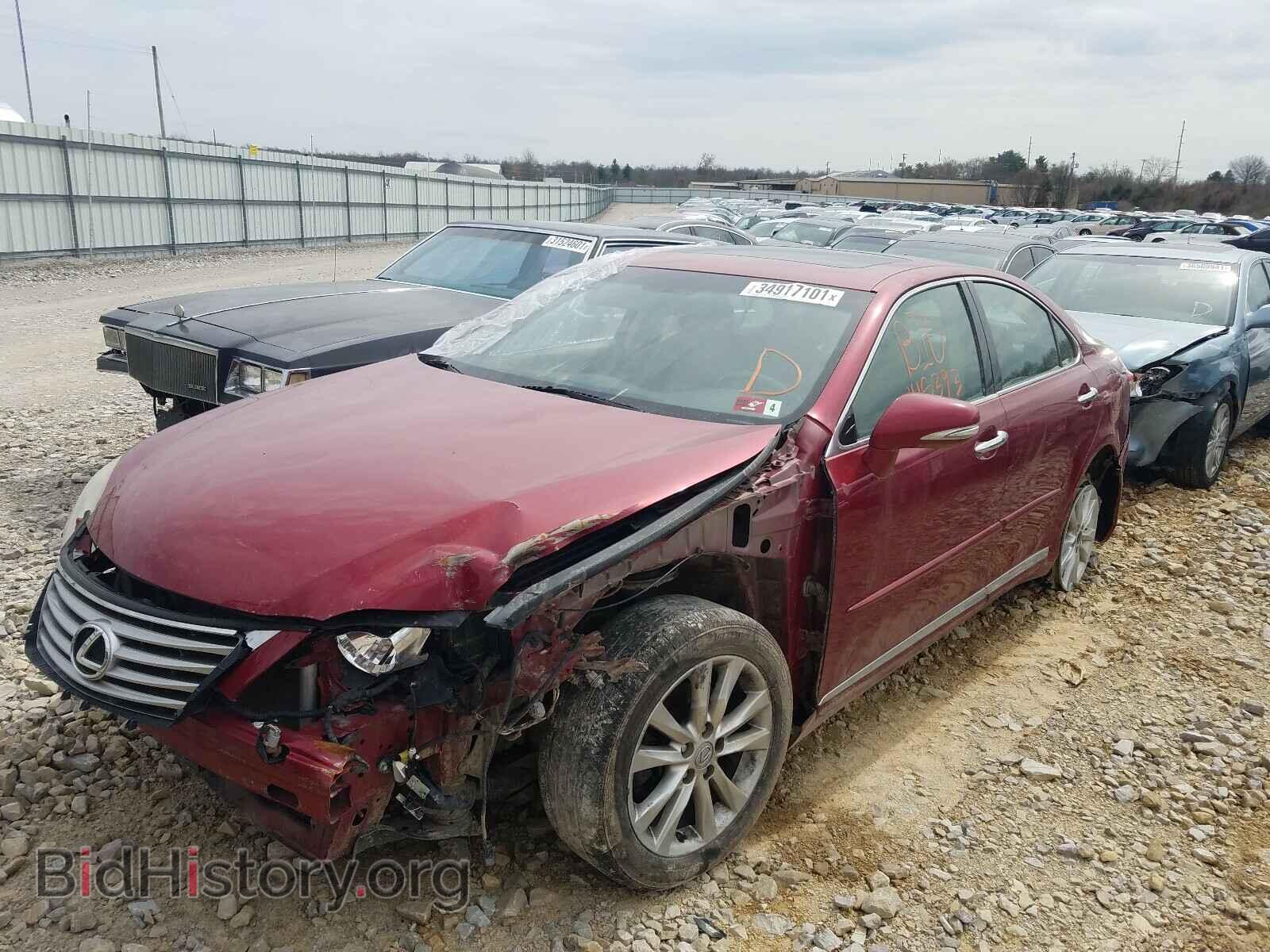 2010 LEXUS ES350 - VIN: JTHBK1EG7A2343584 - Фото 2