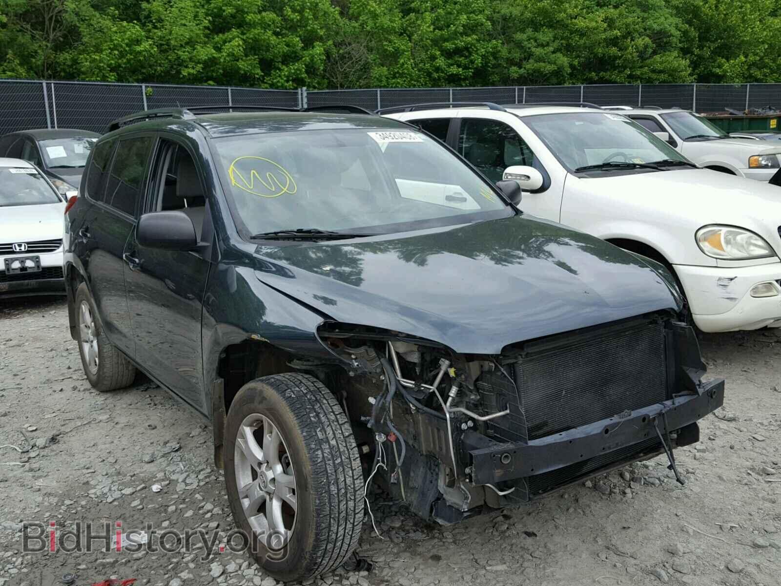 Фотография 2T3BF4DV5BW143304 - TOYOTA RAV4 2011
