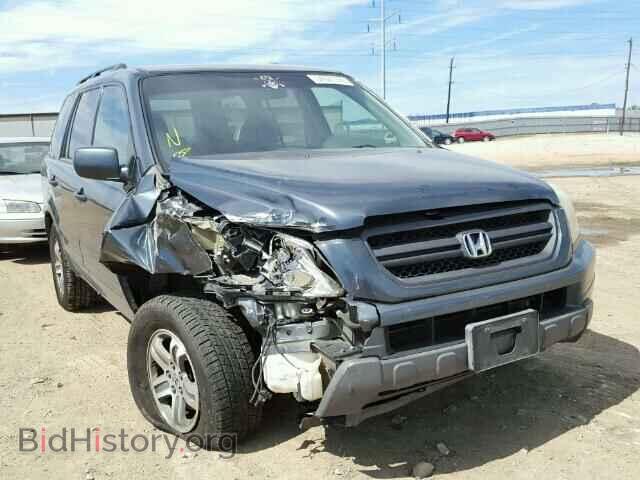 Фотография 5FNYF18445B020016 - HONDA PILOT 2005