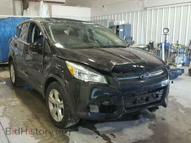 Фотография 1FMCU0GX4EUE48760 - FORD ESCAPE 2014