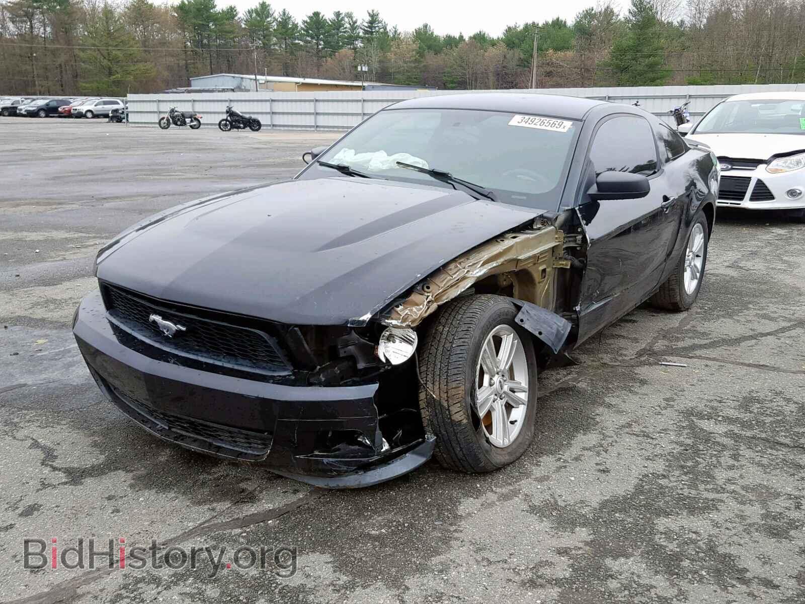 2011 FORD MUSTANG - VIN: 1ZVBP8AM0B5164971 - Фото 2