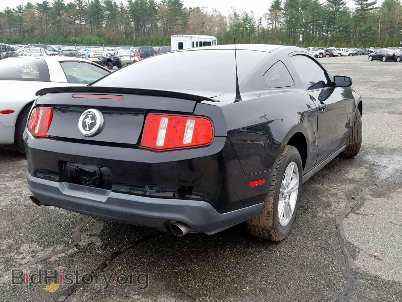 2011 FORD MUSTANG - VIN: 1ZVBP8AM0B5164971 - Фото 4