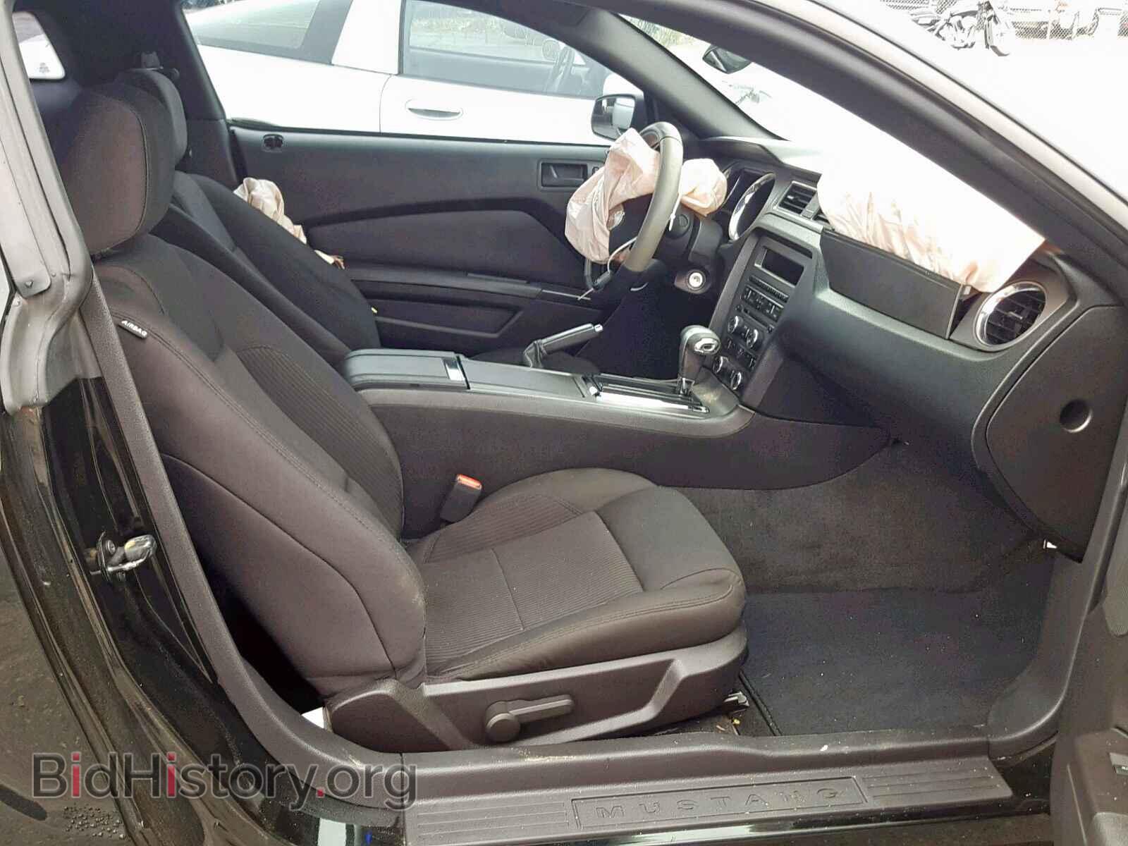 2011 FORD MUSTANG - VIN: 1ZVBP8AM0B5164971 - Фото 5