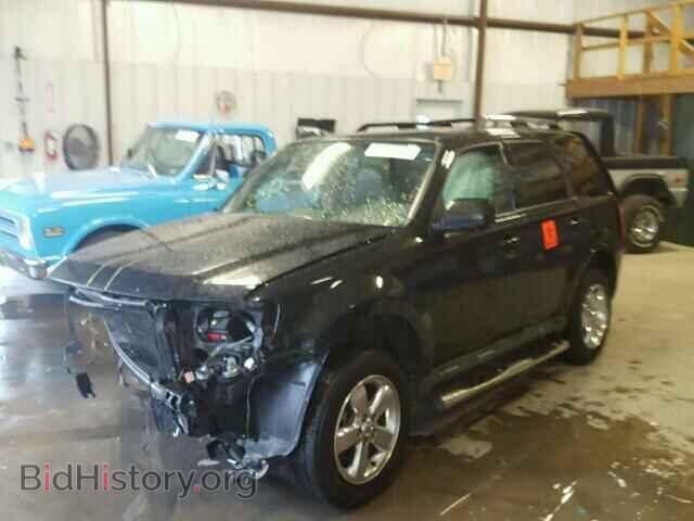 2011 FORD ESCAPE - VIN: 1FMCU0EG1BKC02095 - Photo 2