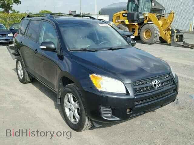 Фотография 2T3BF4DV6CW190519 - TOYOTA RAV4 2012