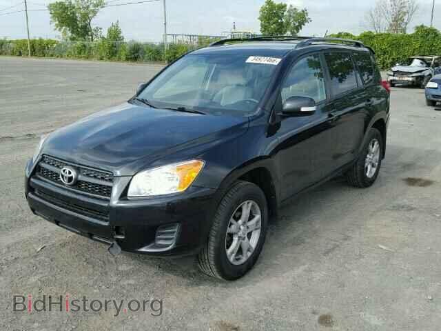 2012 TOYOTA RAV4 - VIN: 2T3BF4DV6CW190519 - Фото 2