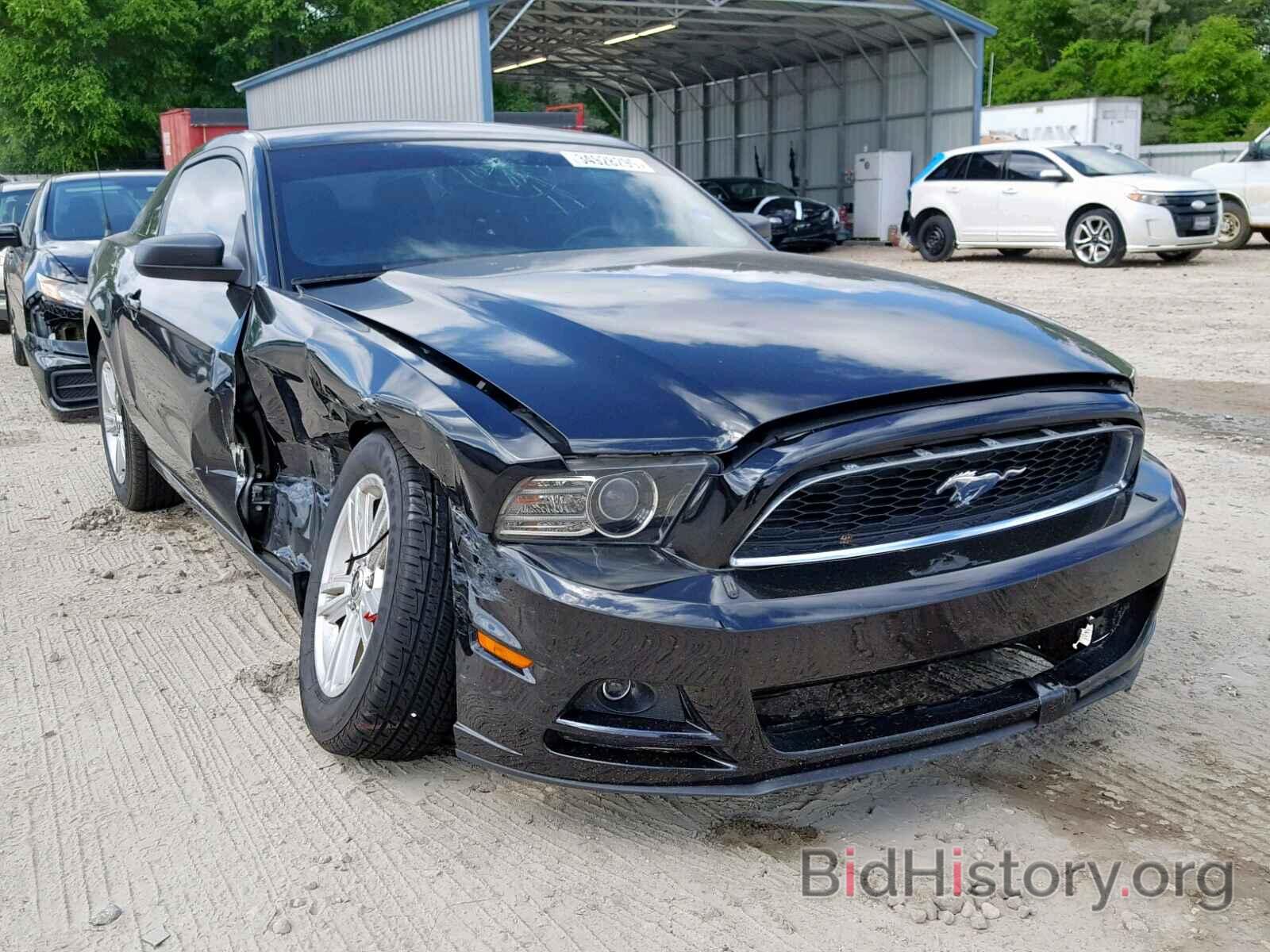 Photo 1ZVBP8AM4E5325360 - FORD MUSTANG 2014