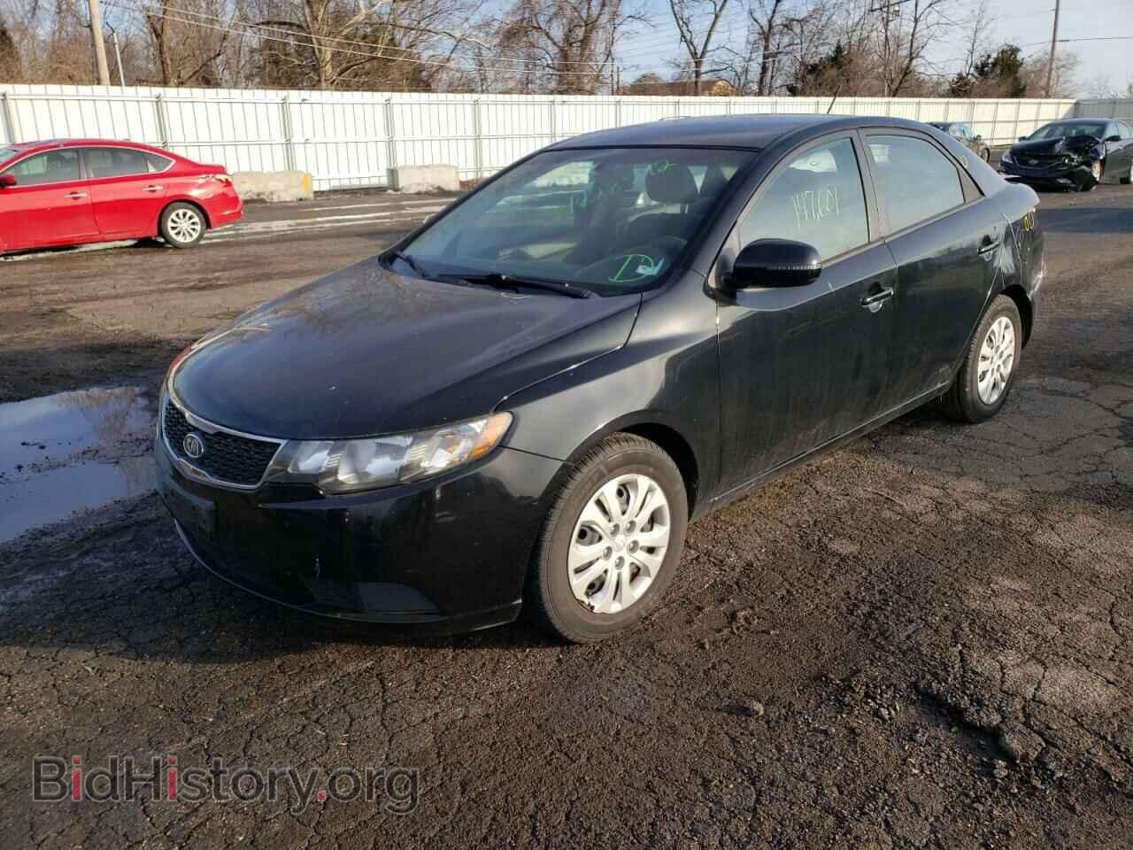 2012 KIA FORTE - VIN: KNAFU4A23C5569337 - Фото 2