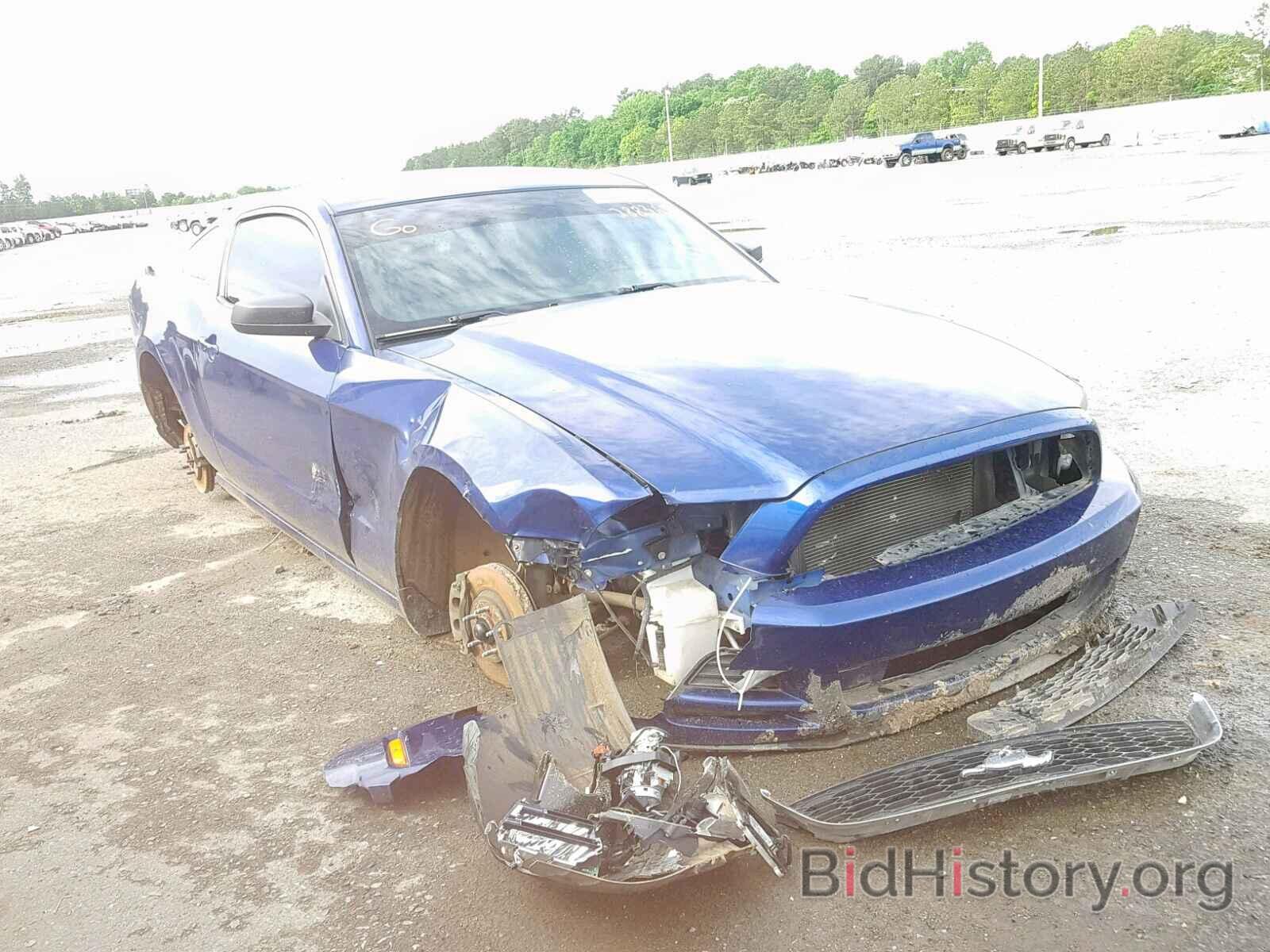 Photo 1ZVBP8AM1E5288364 - FORD MUSTANG 2014