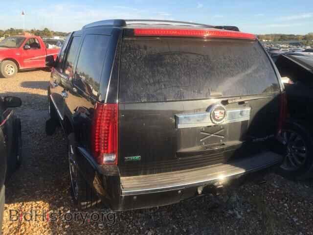 2011 CADILLAC ESCALADE - VIN: 1GYS4CEF5BR367657 - Фото 3