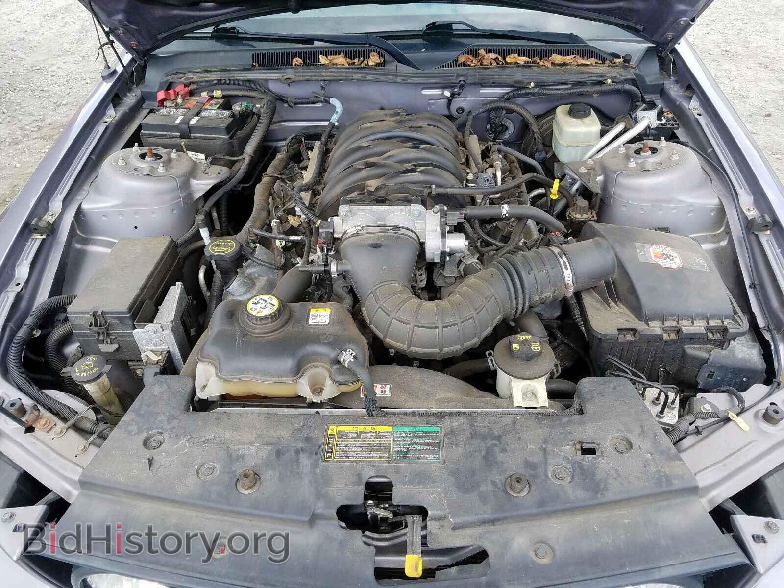 2006 FORD MUSTANG - VIN: 1ZVFT85H165110109 - Фото 7